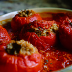 Stuffed Tomatoes with Tomato Sauce - French Main Course